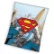 Superman coral fleece polár takaró 130x160 cm