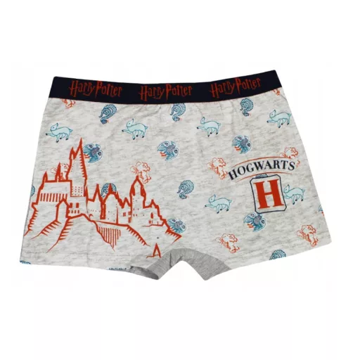 Harry Potter gyerek boxeralsó 2 darab/csomag 10/12 év