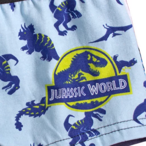 Jurassic World gyerek boxeralsó 2 darab/csomag