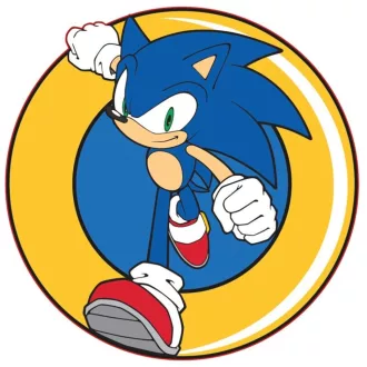 Sonic, a sündisznó formapárna, díszpárna 31x31cm