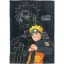 Naruto Training flanel takaró 110x150 cm