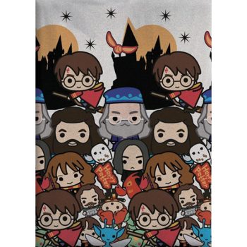 Harry Potter polár takaró 100x140 cm