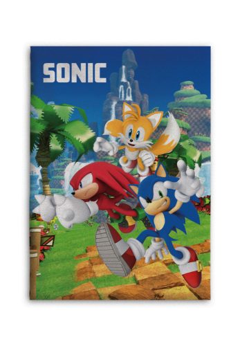 Sonic a sündisznó polár takaró (100x140cm)