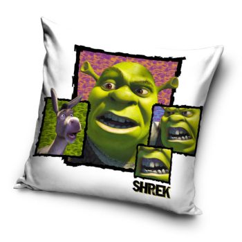Shrek párnahuzat (40x40cm)