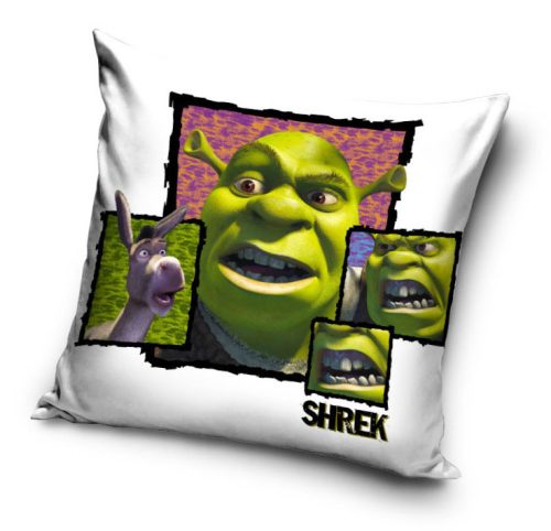 Shrek párnahuzat (40x40cm)