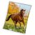 Lovas Gallop coral fleece polár takaró 150x200 cm