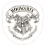 Harry Potter formapárna, díszpárna