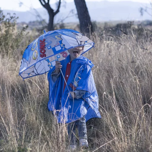 Sonic, a sündisznó Ring gyerek átlátszó esernyő Ø71 cm