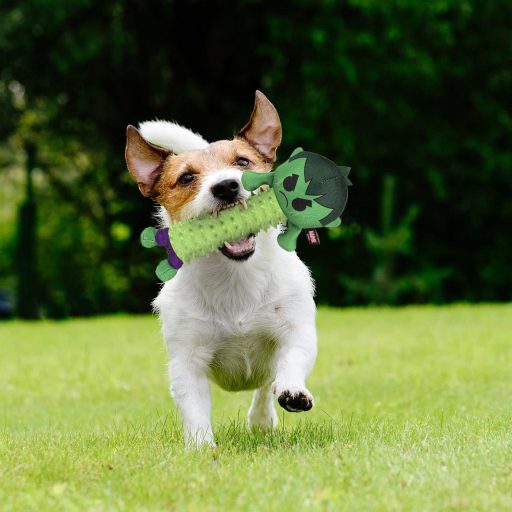 Bosszúállók Hulk kutyajáték