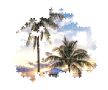 Florida Miami Beach 500 db-os puzzle Clementoni