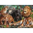 Állatos Wild Cats 500 db-os Compact puzzle Clementoni