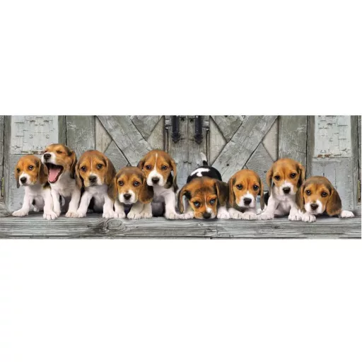 Kutyás Beagles 1000db-os panorama puzzle Clementoni