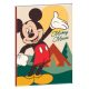 Disney Mickey Nature B/5 vonalas füzet 40 lapos