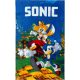 Sonic a sündisznó Speedy kéztörlő, arctörlő, törölköző 30x50 cm