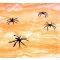 Spider Web Orange, Pókháló pókokkal