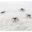 Spider Web, Pókháló pókokkal