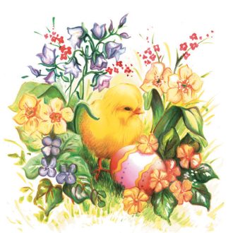 Húsvét Chicken szalvéta 20 db-os 33x33cm