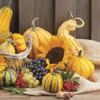 Ősz Fruits szalvéta 20 db-os 33x33cm