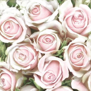 Rózsa Subtle Light Pink szalvéta 20 db-os 33x33cm