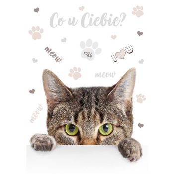 Cicás Meow A/4 gumis mappa