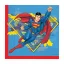 Superman Krypton szalvéta 20 db-os 33x33cm FSC